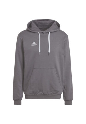Adidas ENTRADA 22 Hoody Herren Kapuzensweatshirt grau HB0578