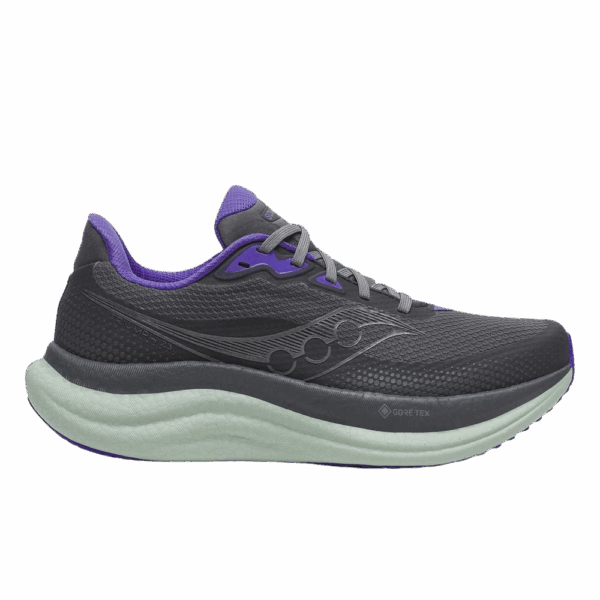 Saucony TRIUMPH 23 GTX Laufschuhe Damen SHADOW/ALOE 40