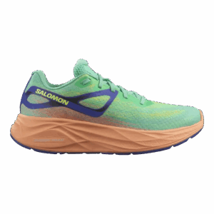 SALOMON AERO GLIDE W Damen Grün 40 2/3