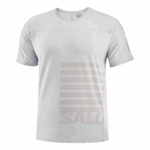 SALOMON AERO GFX TEE Herren Grau M