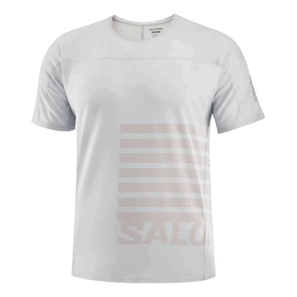 SALOMON AERO GFX TEE Herren Grau M