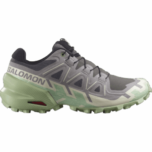 SALOMON SPEEDCROSS 6 Trailschuhe Damen Castlerock / Vanilla Ice / Smoke Green 39 1/3