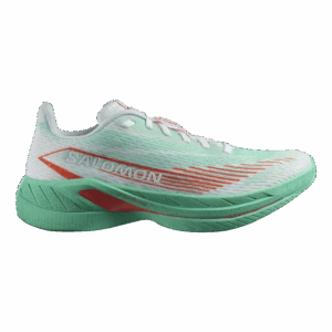 SALOMON SPECTUR 2 W Damen Grün 40