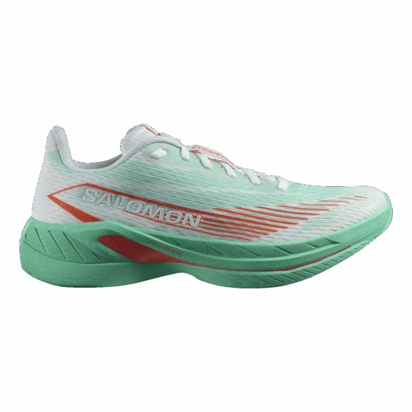 SALOMON SPECTUR 2 W Damen Grün 40