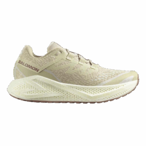 SALOMON AERO GLIDE 3 GRVL Gravel-Laufschuhe Herren Green Haze / Vanilla Ice / Russet 48