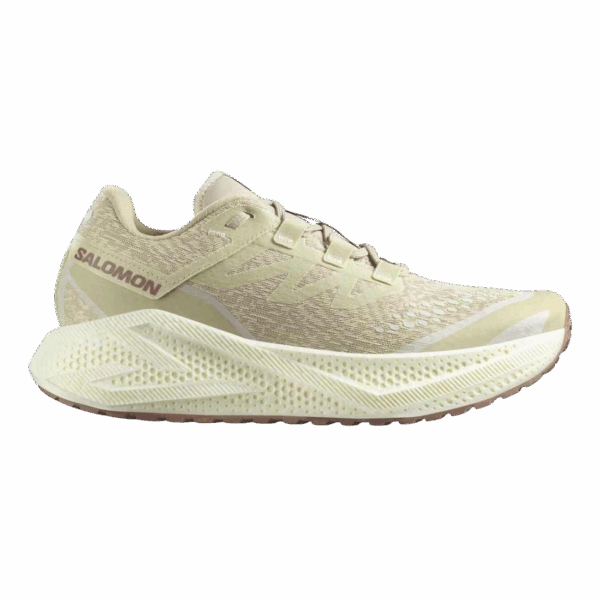 SALOMON AERO GLIDE 3 GRVL Gravel-Laufschuhe Herren Green Haze / Vanilla Ice / Russet 48