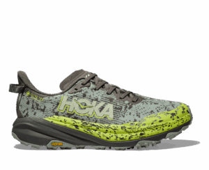 HOKA SPEEDGOAT 6 GTX Herren SLATE / ALOE VERA