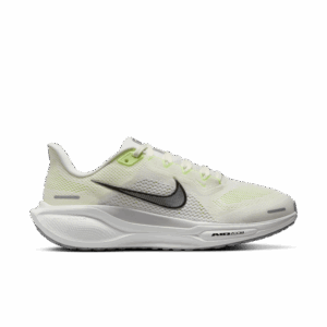 Nike Nike Pegasus 41 Damen SAIL/METALLIC SILVER-PHOTON DUST Gr. 36