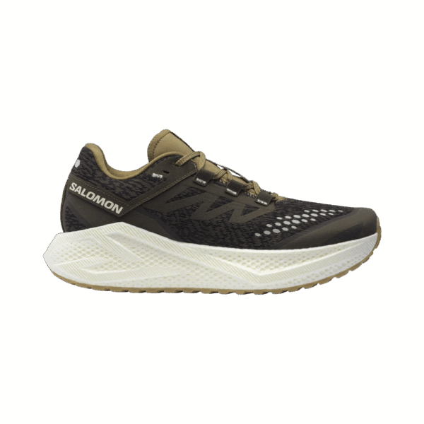 SALOMON AERO GLIDE 3 GRVL Gravel-Laufschuhe Herren Wren/Vanilla Ice/Coyote Brown 48
