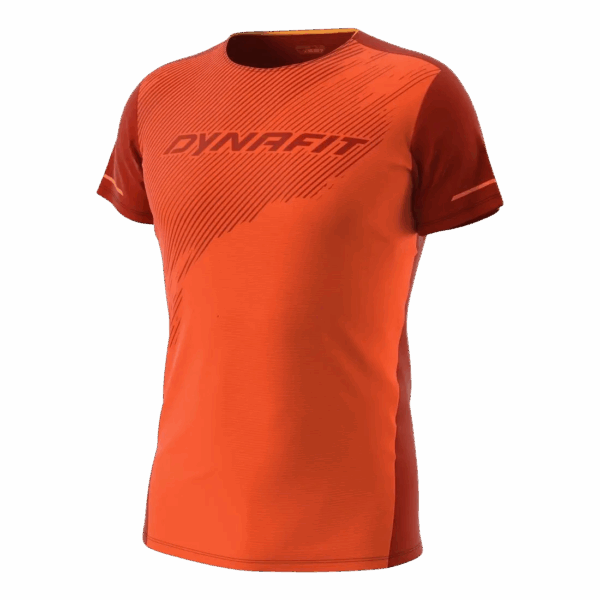 DYNAFIT ALPINE 2 TEE Herren dawn XL