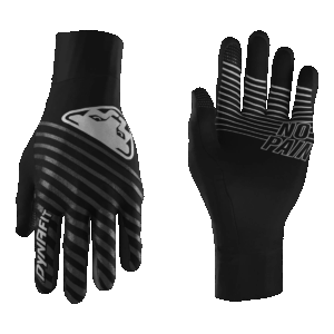 DYNAFIT alpine reflective Handschuhe black out/nimbus