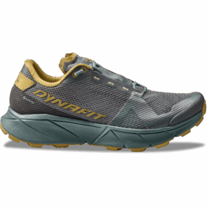 DYNAFIT ULTRA 100 GTX Trailschuhe Herren Lichen/Atlantic 44