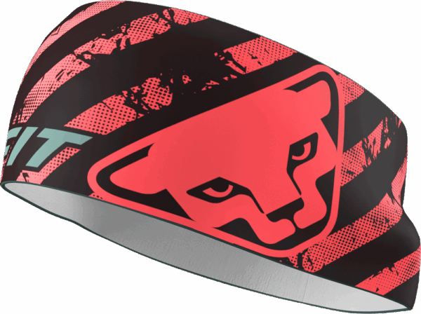 DYNAFIT PERFORMANCE 2 DRY HEADBAND Unisex cabana