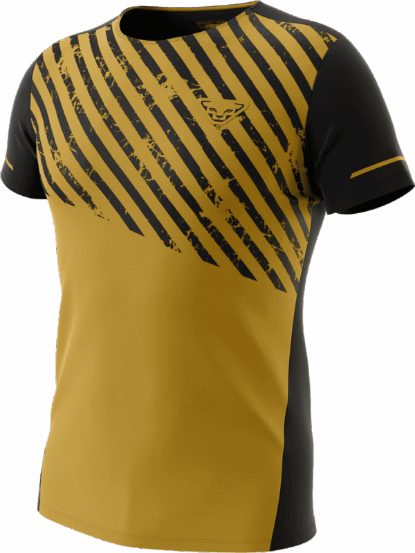 DYNAFIT ALPINE 2 TEE Herren tobacco M