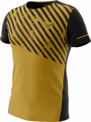 DYNAFIT ALPINE 2 TEE Herren tobacco XL