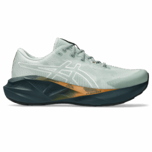 asics NOVABLAST 5 TR Laufschuhe Herren NATURE BATHING / LICHEN ROCK 42