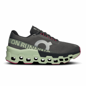 ON RUNNING CLOUDMONSTER 2 Laufschuhe Damen Asphalt | Lima 42