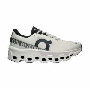 ON RUNNING CLOUDMONSTER 2 Laufschuhe Damen Undyed | Frost 38