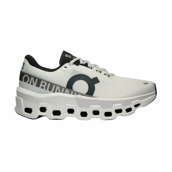 ON RUNNING CLOUDMONSTER 2 Laufschuhe Damen Undyed | Frost 38